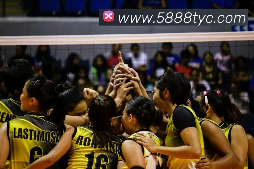 澳门太阳城线上平台生态图